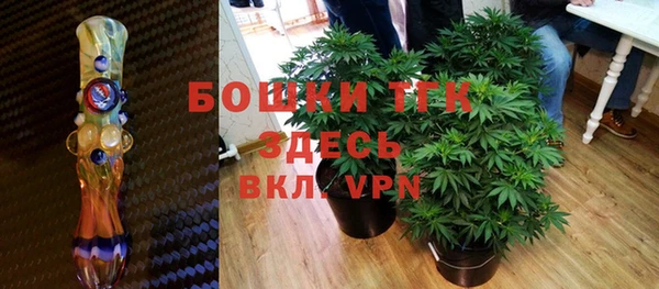 гидра Белоозёрский