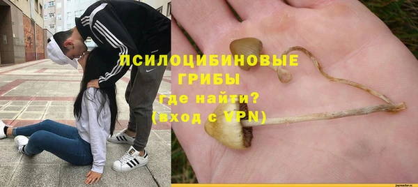 соль ск Белокуриха