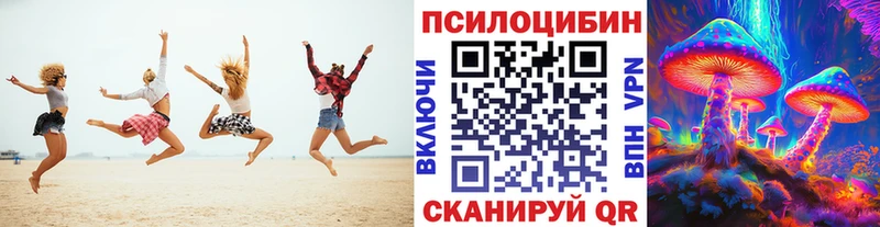Галлюциногенные грибы Cubensis  что такое   Кстово 